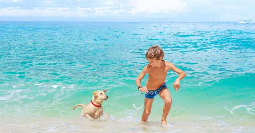 Special Baden mit Hund