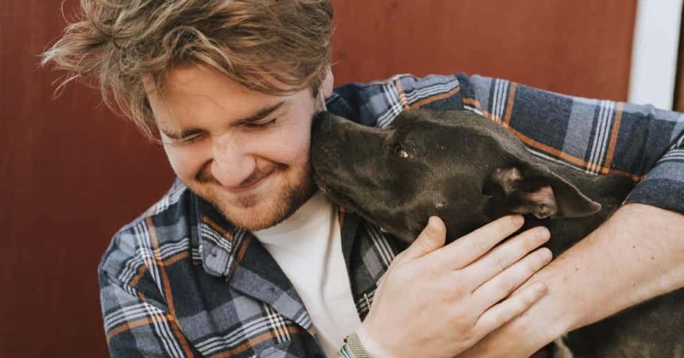 Barrierefreier Urlaub mit Hund