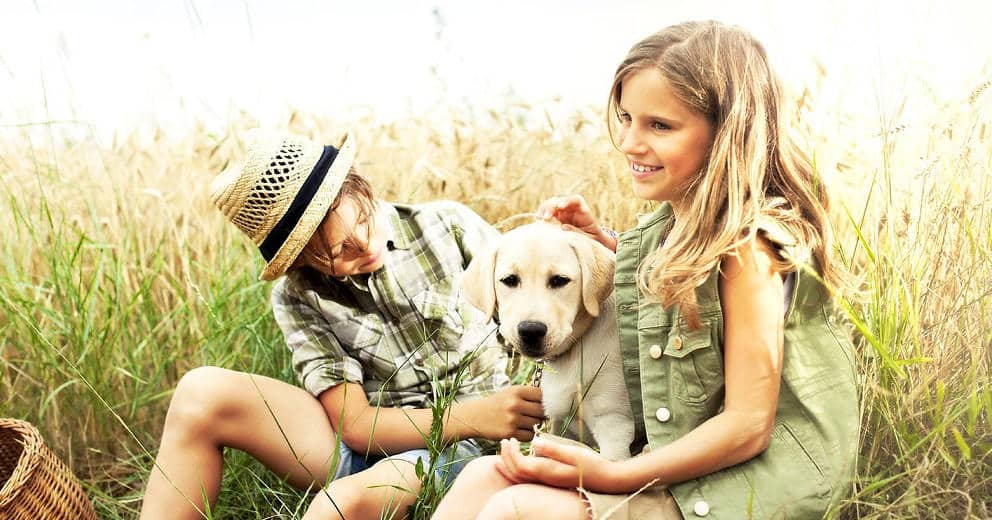 Bauernhof mit Hund in Europa