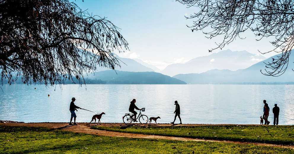 Radfahren mit Hund im Burgenland