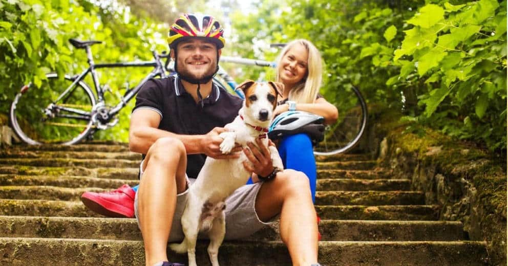 Fahrradfahren mit Hund in Europa
