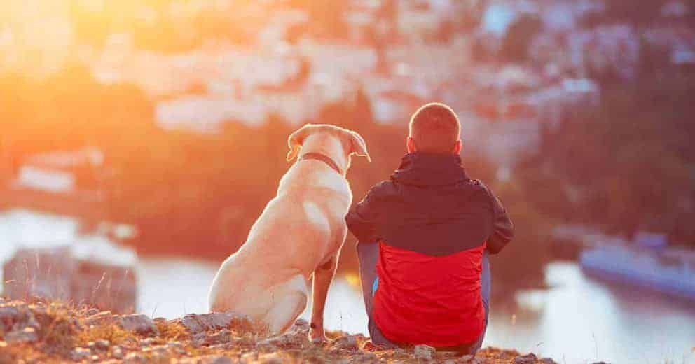 Ferienhaus mit Hund in Tschechien