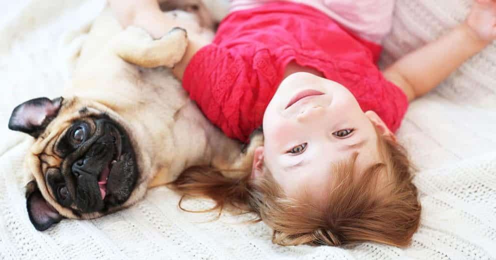 Ferienwohnung mit Hund in Europa