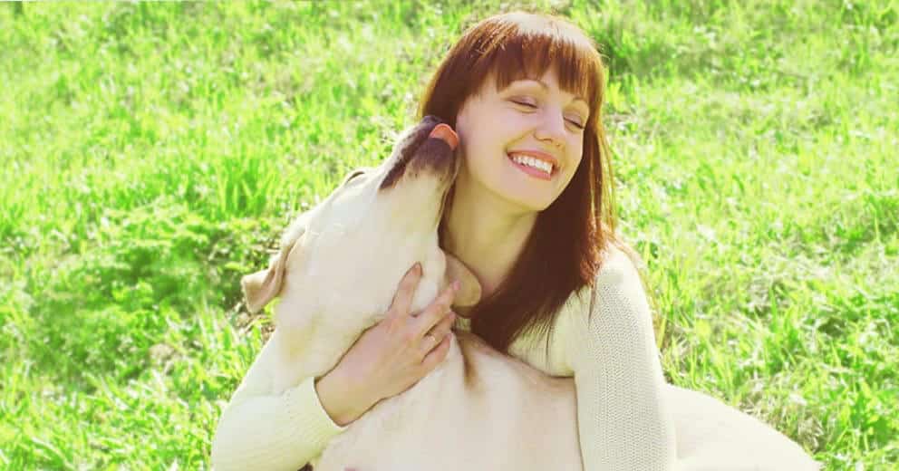 Kur mit Hund in Europa