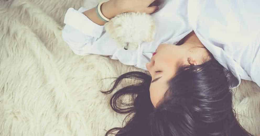 Luxusurlaub mit Hund