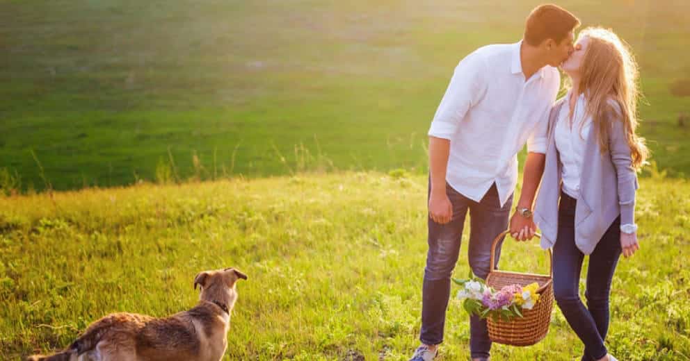 Romantikurlaub mit Hund in Europa