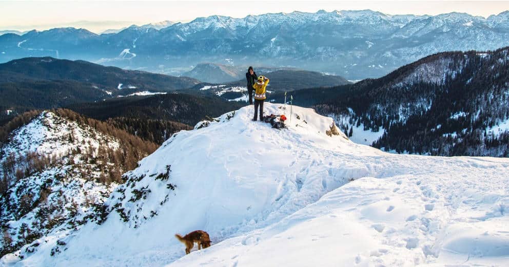 Schneeschuhwandern mit Hund in Europa