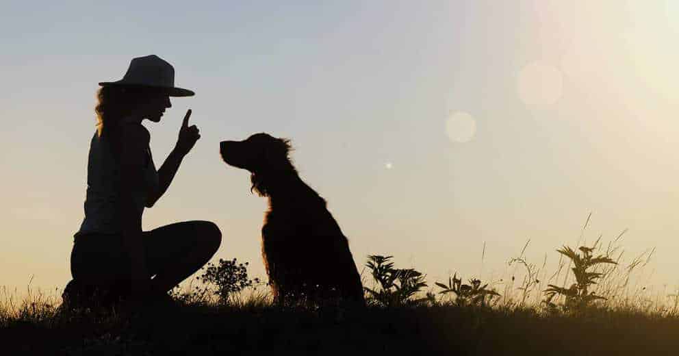 Seminare & Workshops in Europa