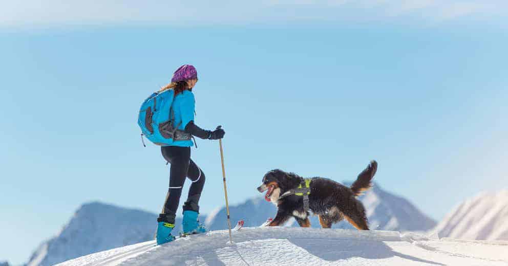 Skitouren mit Hund in Europa
