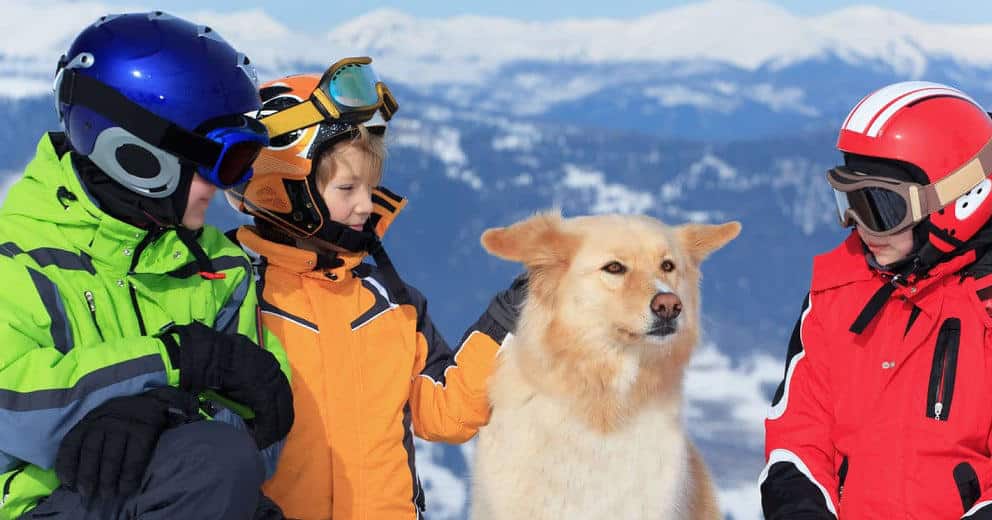 Skiurlaub mit Hund