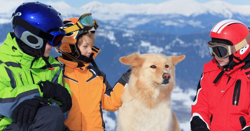 Skiurlaub mit Hund Österreich