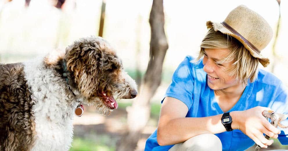 Ferienhaus mit Hund im Burgenland