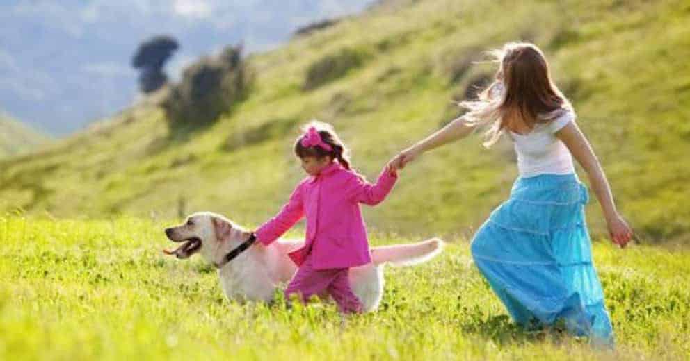 Zimmer mit Hund in Deutschland