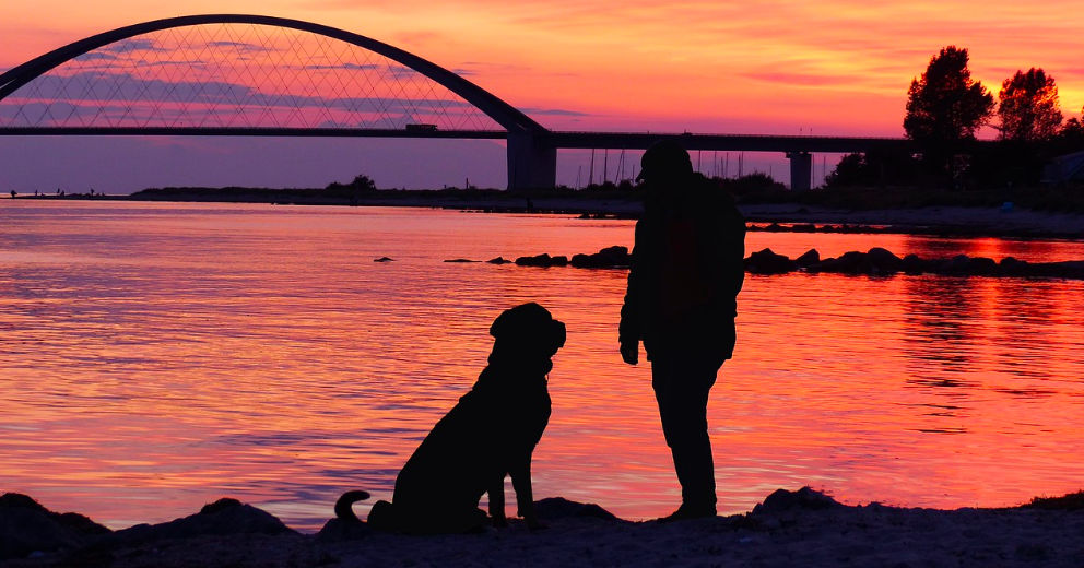 Ferienwohnungen mit Hund auf Fehmarn