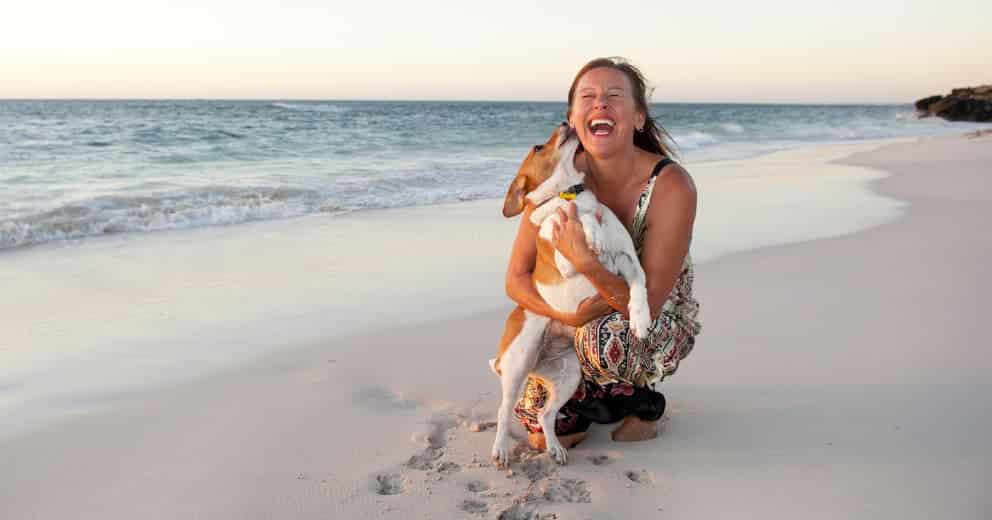 Villa mit Hund in Griechenland