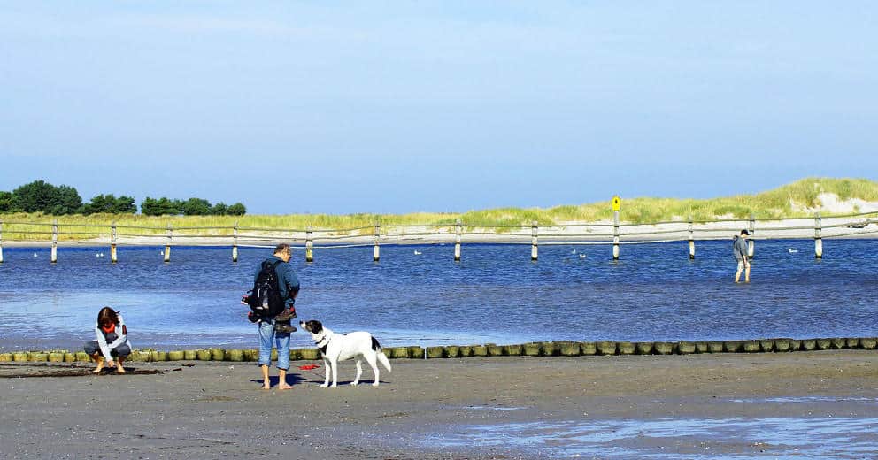 Urlaub mit Hund in Mecklenburg-Vorpommern