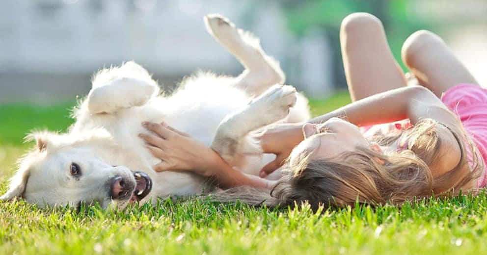 Urlaub mit Hund Montenegro