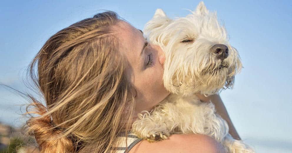 Ferienwohnung mit Hund in Niederösterreich