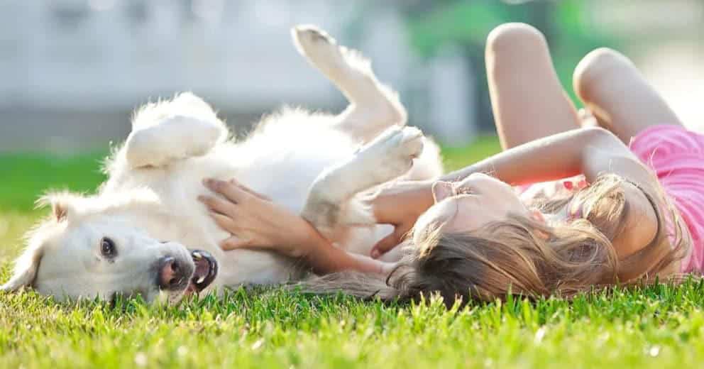Bauernhof mit Hund in Österreich