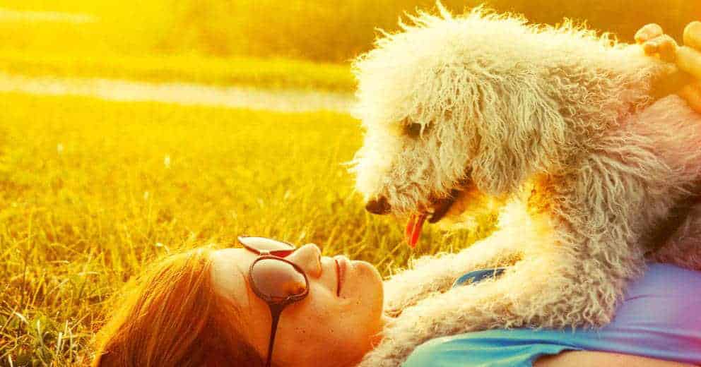 Urlaub mit Hund in Rumänien