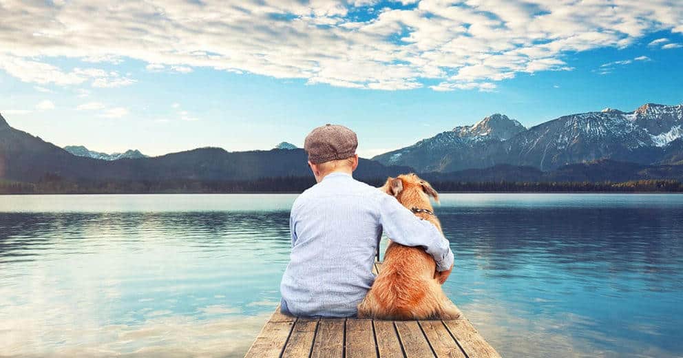 Urlaub mit Hund in Salzburg