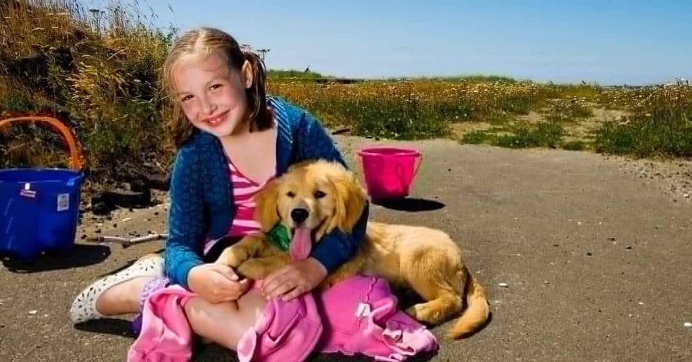 Ferienwohnung mit Hund in Schleswig-Holstein