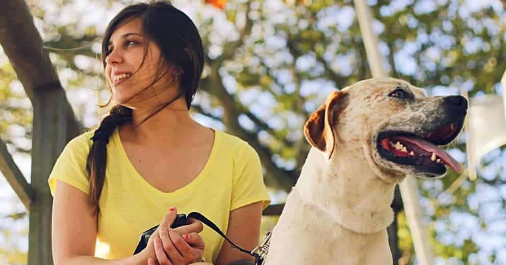 Ferienhaus mit Hund in Schweden