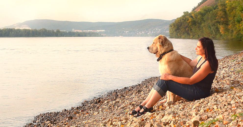 Chalet mit Hund in Thüringen