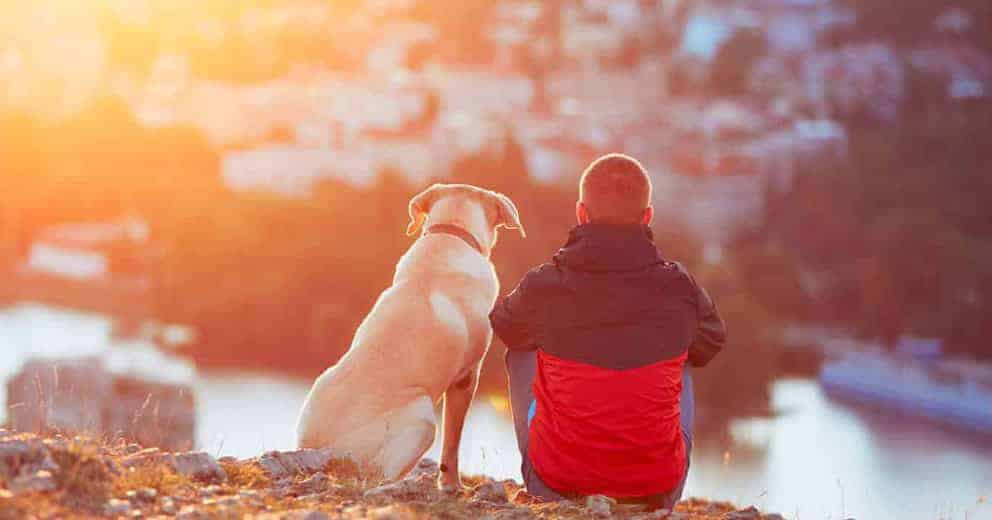 Bauernhof mit Hund in Tschechien