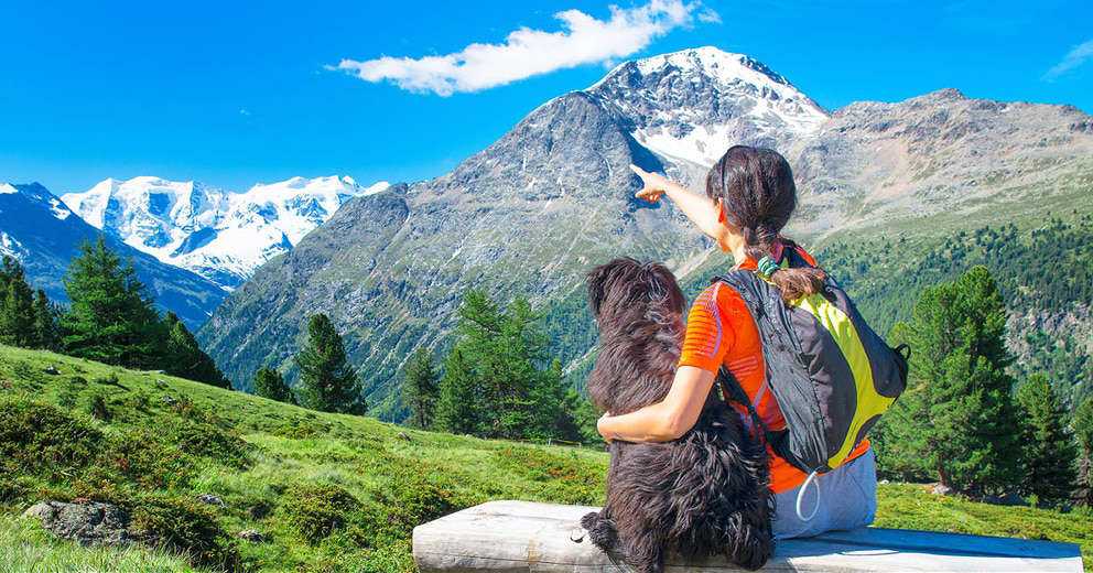 Zimmer mit Hund in Vorarlberg