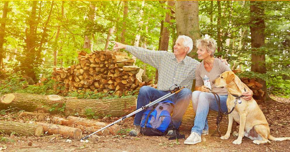Wandern mit Hund in Baden-Württemberg