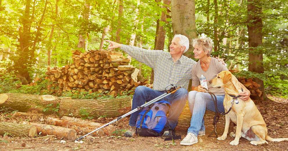 Wandern mit Hund in Bayern