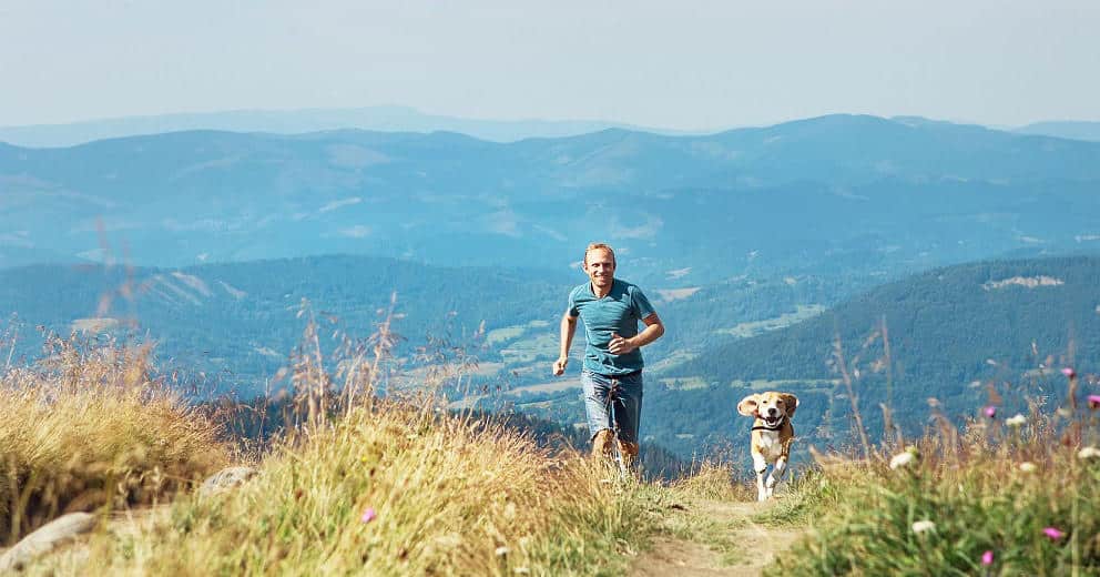 Wandern mit Hund in Niederösterreich