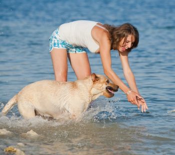 Baden mit Hund: Wo auch Waldi ins Wasser darf