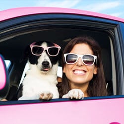 Hund im Auto – Welche rechtlichen Bestimmungen sind zu beachten?