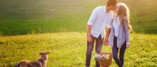 Romantikurlaub mit Hund