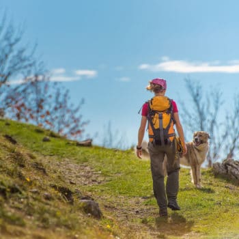 Das Wandern ist des Hundes Lust