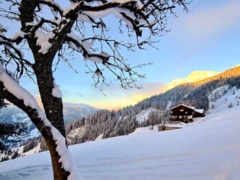Alpengasthof-Pension Rapoldsberg