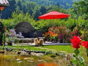 Ferienwohnungen Landhaus Jörg