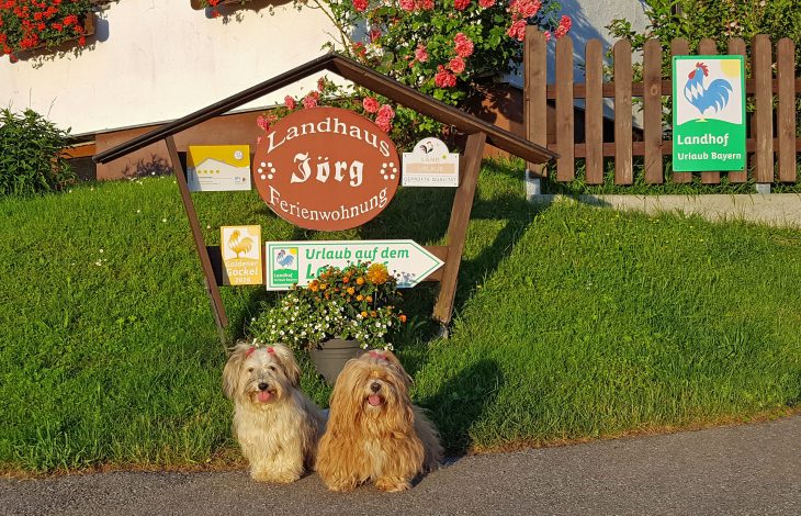 Ferienwohnungen im Landhaus Jörg Urlaub mit Hund Rettenberg Rottach