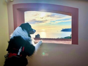 Soltur Insel Elba Soltur Insel Elba