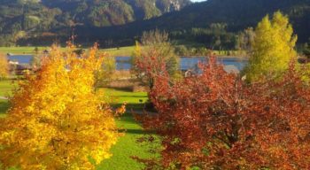 Seehaus Verena direkt am See