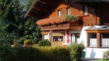Ferienhaus Pehnelt mitten im Wald