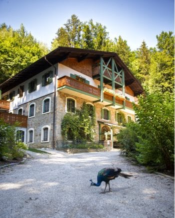 Naturidyll Hotel im Wald Hammerschmiede