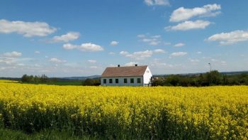 Ferienhaus Peter zu Ihrer Alleinnutzung