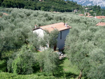 Ferienwohnungen im Haus Laura in Malcesine