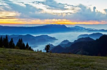 Natur & Sport Hotel Zuflucht im Schwarzwald