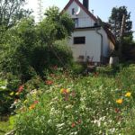 Kleine Frieda41 nahe Augsburg Kleine Frieda41 nahe Augsburg