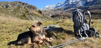 Bauernhof Haus Karlspitze
