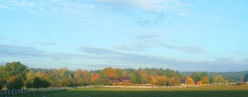 Reiterhof Lüneburger Heide in Alleinlage.